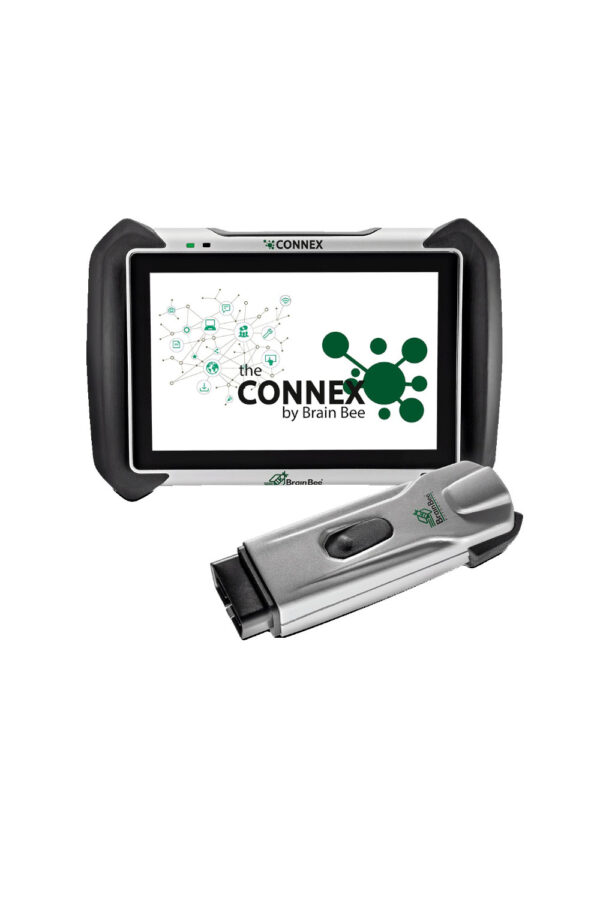 BRAIN BEE DOPUNA UP TO NOW 12 PLUS SA FCA 12